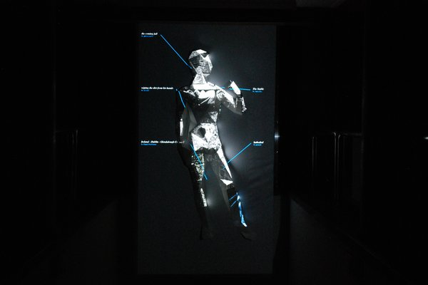 Polybody